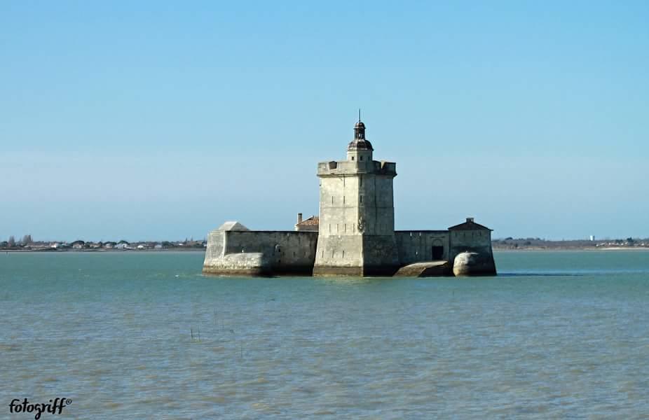 Le Clos Des Oiseaux Saintes Dış mekan fotoğraf