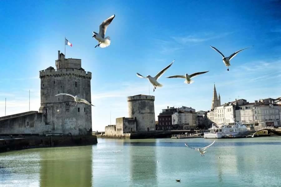 Le Clos Des Oiseaux Saintes Dış mekan fotoğraf